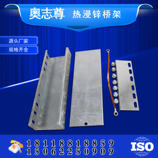 奧誌尊 熱浸鋅橋(qiáo)架 熱鍍鋅(xīn)熱(rè)侵鋅室外(wài)防腐防鏽槽(cáo)式梯式100*50