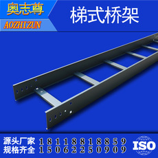 梯式橋(qiáo)架 噴塑橋架(jià) 防火橋架 鍍鋅梯式橋架 600*100*1.8